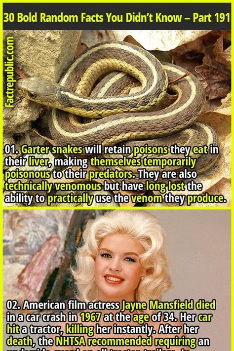 Funny Weird Facts, Epic Facts, Weird History Facts, Odd Facts, Garter Snake, Useless Knowledge, Fact Republic, Science Knowledge, True Interesting Facts