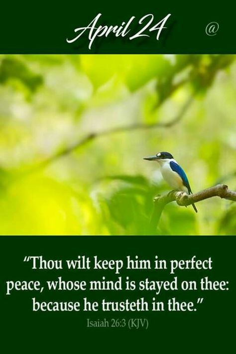 #April24~~J~ Isaiah 26:3 KJV April 24 Prayer, April 24 Bible Verse, April 24 Blessings, April Blessings, December Scriptures, April Quotes, Isaiah 26, Daily Blessings, Perfect Peace