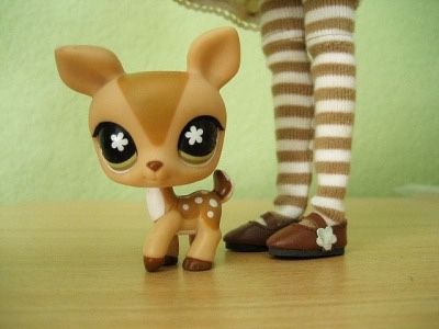 Choco Biscuit, Lps Pets, Mori Kei, Oh Deer, Littlest Pet Shop, Gyaru, Big Eyes, Lps, Pet Shop