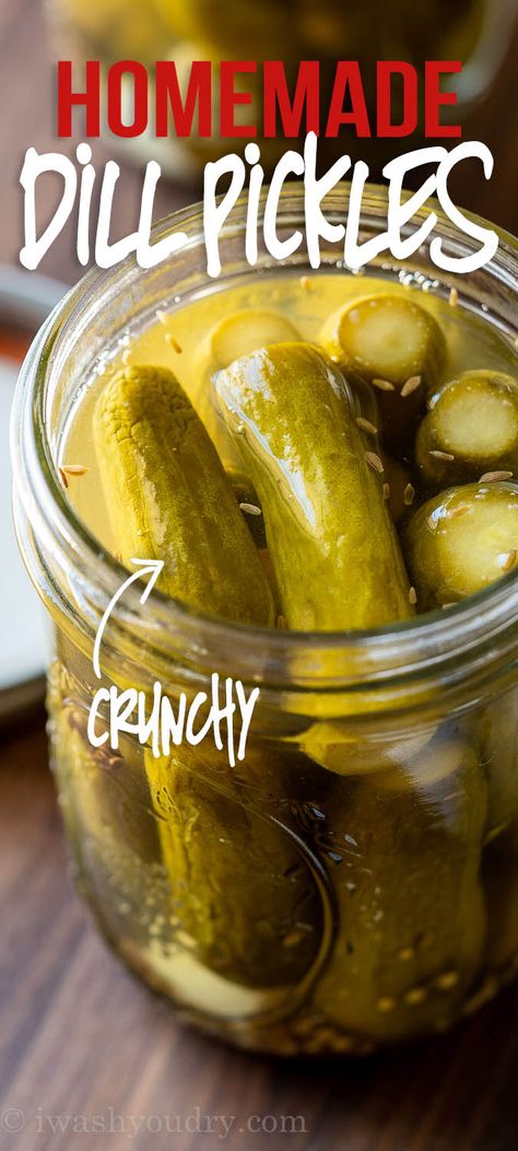 Canned Dill Pickles, Canning Pickles Recipe, Homemade Dill Pickles, Dill Pickles Recipe, Easy Pickling Recipes, Homemade Pickles Dill, Pickle Recipes Homemade, Dill Pickle Recipe, Pickles Recipe