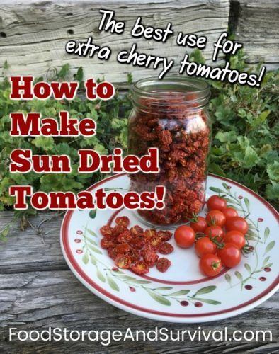 The Best Use for Extra Cherry Tomatoes! How to Make Sun Dried Tomatoes Stir Fry Ideas, Fry Ideas, Eggs In Tomato Sauce, Tomatoes And Eggs, Dehydrated Recipes, Dehydrating Recipes, Make Sun Dried Tomatoes, Baked Parmesan Tomatoes, Prepper Food