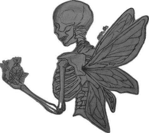 Sketch skeleton Skeleton With Wings, Skeleton