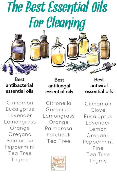 Vinegar And Essential Oil Cleaner, Make Your Own Natural Cleaners, Essential Oil Blends Clean House, Antibacterial Essential Oil Blend, Disinfectant Essential Oils, Homemade Cleaning Products With Essential Oils, Disinfecting Essential Oils, Herbal Cleaning Recipes, Essential Oils For House Cleaning