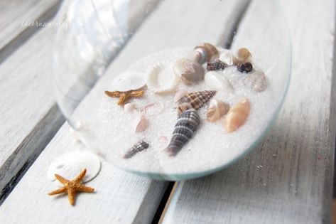 15 Inspiring Ways to Dress Up Dollar Tree Clear Ball Christmas Ornaments – Hip2Save Sand Ornaments, August Crafts, Fun Holiday Crafts, Clear Glass Ornaments, Frugal Christmas, Shells And Sand, Seashell Ornaments, Beach Ornaments, Clear Ornaments