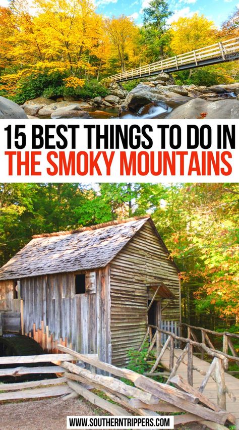 15 Best Things To Do In The Smoky Mountains Usa Vacations, Gatlinburg Tennessee Vacation, Smokey Mountains National Park, Tennessee Road Trip, Smokey Mountains Vacation, Mountains Tennessee, Smoky Mountains Tennessee, Southern Usa, Smoky Mountains Vacation