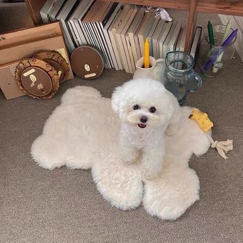 🧸When this FLUFFY BEAR FLOOR MAT comes to making your bedroom, living room, car or office look warmy! JUST USD 20.99/PC! 🌈 Quick International Delivery 🌈 2 colours option: Cream White & Brown 🌈 Materials: Plush, Non Slip Back 🌈 Size: approx. 45 x 60 cm 🌈 Packing: Plastic Bag ------------------------------------------------ 🎁 In all occasion, your special one will definitely impressed by this stunning gift! 📦 Order processing time: All orders will be shipped in 1 working day upon paym Carpet Cute, Orange Duvet Covers, Floor Rugs Living Room, Carpet Dress, Orange Bedding, Bear Rug, Brown Carpet, Soft Carpet, Cute Teddy Bears