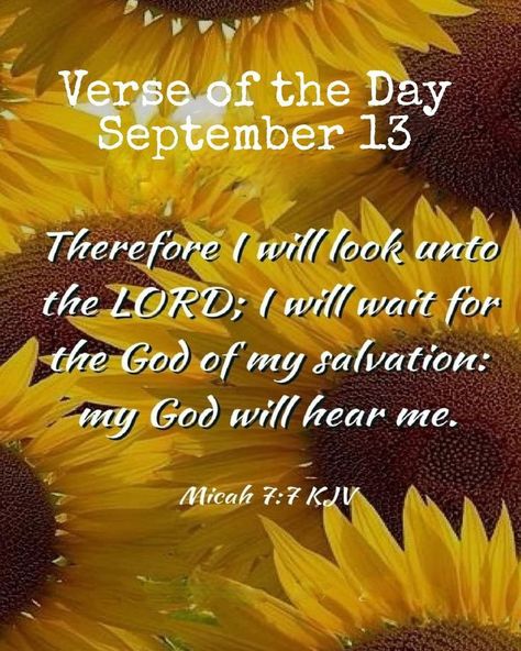 Micah 7 7, Daily Scripture, Shop With Me, You Are Loved, Days Of The Year, Fall Favorites, Verse Of The Day, Daily Devotional, Daily Quotes