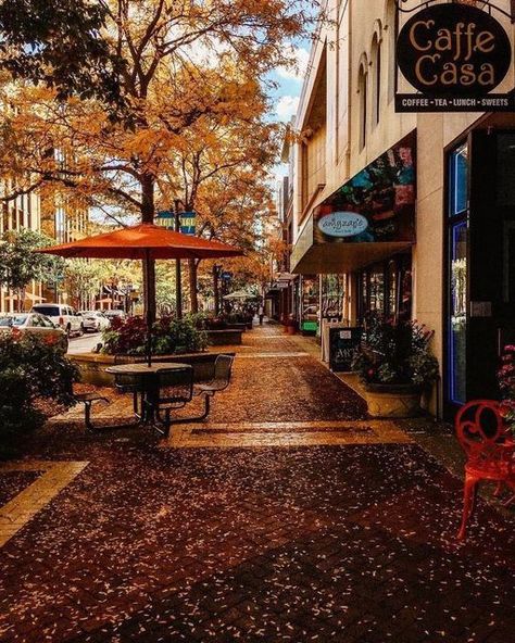 UNEXPECTED WAYS TO EXPERIENCE FALL IN THE CITY OF KALAMAZOO, MICHIGAN Fall In The City, Michigan Fall, Kalamazoo Michigan, Just A Small Town Girl, Small Town Girl, Cozy Season, Fall Photos, Autumn Photography, Fall Foliage