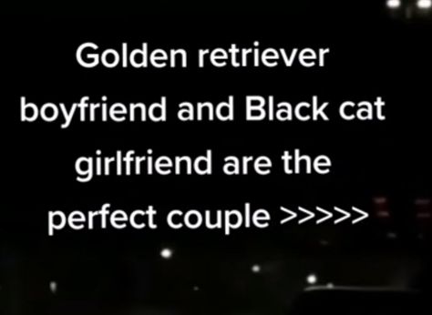 Golden Retriever Boyfriend X Black Cat Girlfriend, Black Cat Gf Aesthetic, Black Cat Gf And Golden Bf Aesthetic, Black Cat Girlfriend And Golden Retriever Boyfriend, Grumpy Gf Sunshine Bf Aesthetic, Black Cat Gf And Golden Retriever Bf Couple, Black Cat X Golden Retriever Couple, Black Cat Gf And Golden Retriever Bf, Couple With Cat Aesthetic