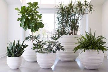 Phillips Collection | The Best Brands at the Lowest Prices | Furnitureland South Gray Planter, White Planters, Modern Organic, White Garden, Phillips Collection, Tommy Bahama Furniture, Patio Accessories, Garden Planter, Lexington Furniture