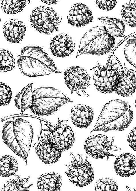 Packaging Design Tea, Branch Sketch, Short Shelf, Sketch Poster, Leaves Sketch, Berry Branch, Rose Family, Black And White Posters, Vector Drawing