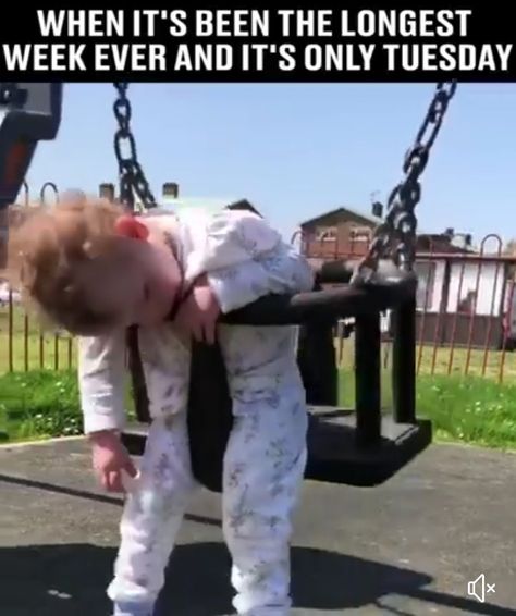 When it's been the longest week ever and it's only Tuesday. Is It Friday Yet, Is It Friday, Workplace Humor, It Friday, Good Morning Funny Pictures, Tuesday Humor, Work Quotes Funny, Morning Quotes Funny, Cute Good Morning Quotes