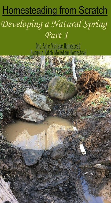 Water Survival, Off Grid Survival, Homesteading Diy, Homestead Farm, Natural Spring Water, Vintage Pumpkin, Natural Spring, Homesteading Skills, Survival Life Hacks