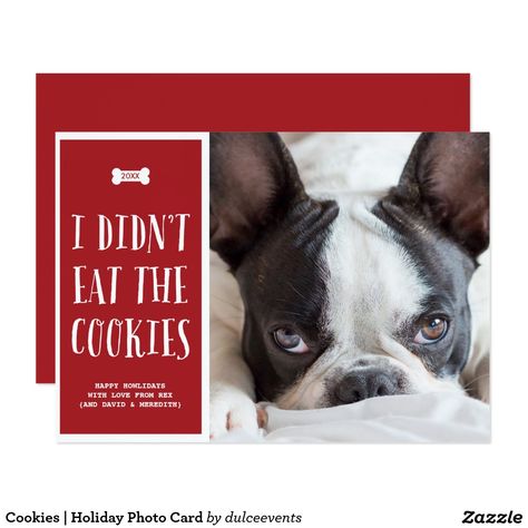 Cookies | Holiday Photo Card Holiday Pet Photos, Cookies Cute, Dog Holiday Cards, Birthday Verses, Cookies Holiday, Personalized Holiday Cards, Seasons Greetings Card, Dog Christmas Card, Pet Holiday