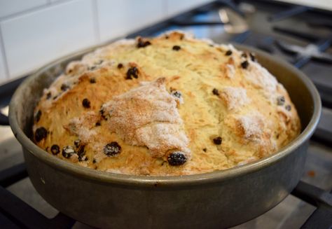 Sour cream Irish soda bread – The Misanthropic Hostess Irish Soda Bread With Sour Cream, Moist Irish Soda Bread Recipe, Irish Soda Bread Buttermilk, Irish Soda Bread Recipe Without Buttermilk, Martha Stewart Irish Soda Bread, Irish Soda Bread No Buttermilk, Recipes Using Sour Cream, Irish Soda Bread Vegan, Recipes Using Cream Cheese