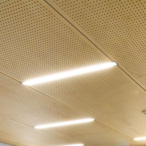 @ultraflexarchitecturallinings perforated timber panels reach optimal acoustics. A smart choice for high footfall areas (like the halls in Brunswick Primary School). 🔊 Builder – @newpol_construction⁠ Installer – @milkplasteringco . . . . . #timber #timberpanels #perforated #mbsarchitectural #architecture #durability #interiordesign #ceilings Perforated Plasterboard Ceiling, Perforated Ceiling, Warehouse Studio, Timber Ceiling, Timber Panelling, Material Board, Ceiling Panels, Acoustic Panels, Ceiling Design