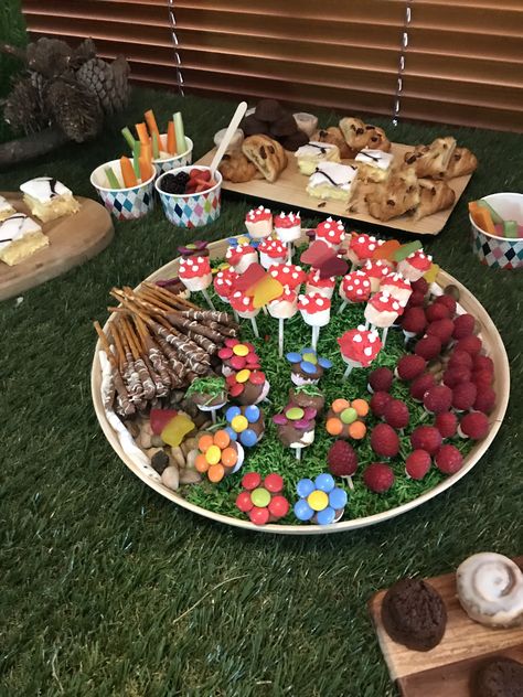 Made for my granddaughters 1st birthday nature themed party, all edible apart from sticks. Nature Themed Party, Nature Birthday Party, Themed Party Outfits, Natural Birthday Party, Birthday Nature, Baking Competition, Fairytale Food, Picnic Inspo, Forest Birthday Party