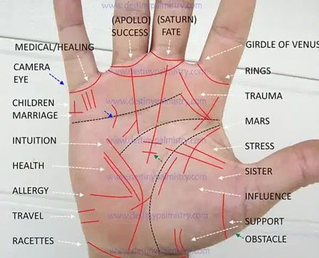 Read Palm Lines, Reading Palms Hands, Palm Lines Reading Hands, Palm Astrology, Marriage Lines Palmistry, Palm Reading Charts, Hand Reading, Indian Palmistry, Palmistry Reading