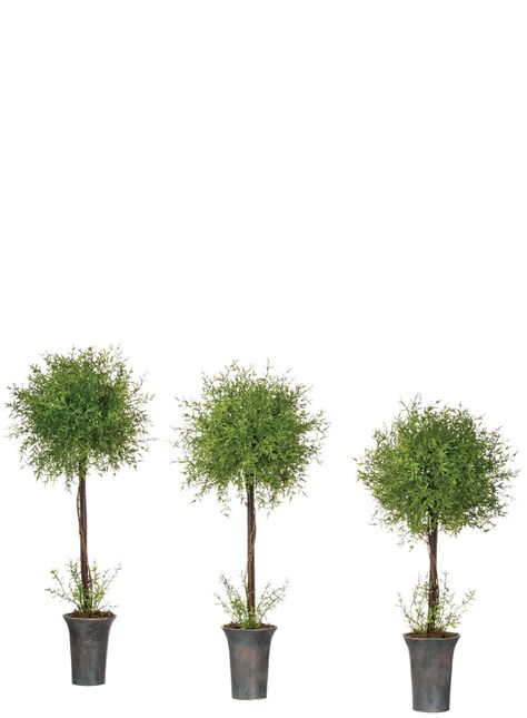 Fern Tree, Tree In Pot, Topiary Tree, Topiary Trees, Artificial Flowers And Plants, Faux Tree, Silk Plants, Pot Set, Green Bedding