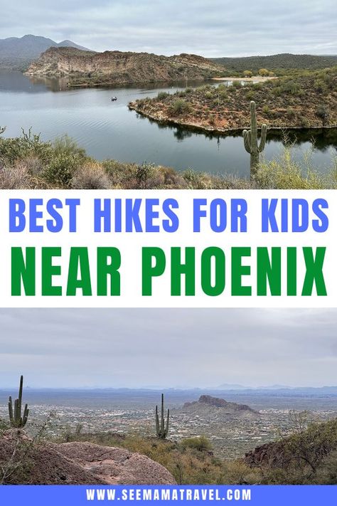 Phoenix With Kids, Animal Experiences, Family Hiking, Things To Do With Kids, Hiking With Kids, Arizona Travel, Toddler Travel, Family Friendly Activities, Perfect Family