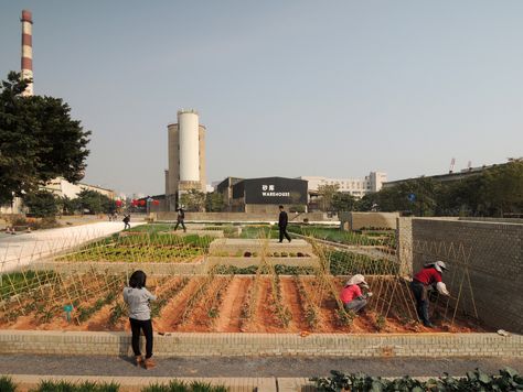 Value Farm / Thomas Chung Farm Architecture, Agriculture Projects, Urban Design Diagram, Farm Pictures, Vertical Farming, Urban Agriculture, Factory Farming, City Farm, Shenzhen China