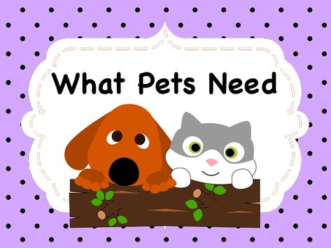 What Do Pets Need Preschool, Caring For Pets Preschool, Preschool Pet Activities, Pet Study, Pet Activities, Junior Kindergarten, Preschool Charts, Play Preschool, Brownie Scouts