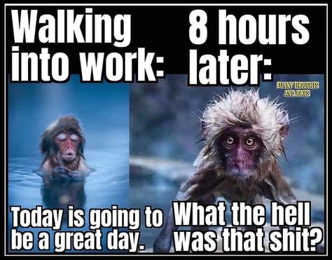 25 Funny Memes Ripe For The Picking - Funny Gallery Work Funnies, Workplace Humor, Work Funny, Nursing Humor, Work Quotes Funny, Work Jokes, Funny Work, Funny Thoughts, Funny Ha Ha