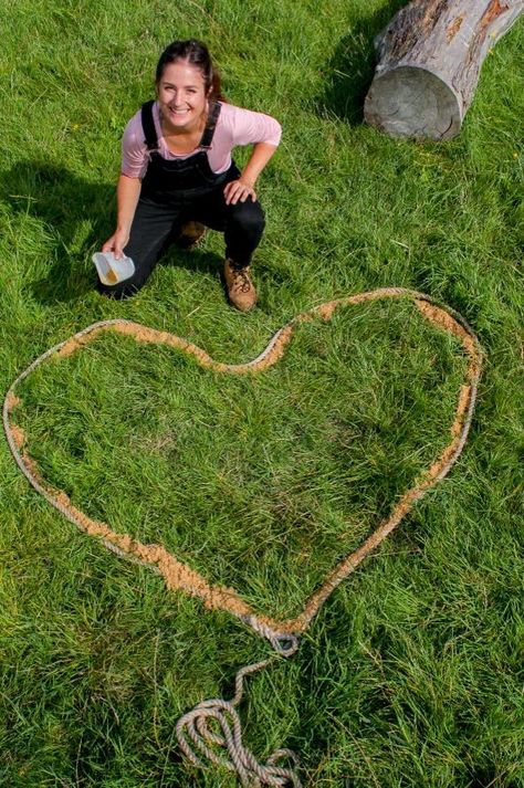 Wildflower Patch, Plant Goals, Wildflower Seeds, Wash Your Hands, Choose The Right, Wild Flowers, Soil, Heart Shapes, Seeds