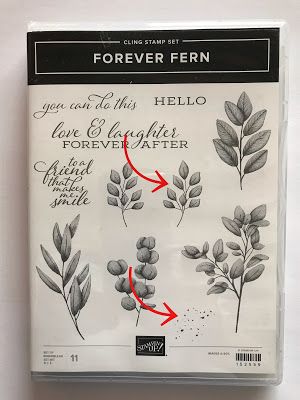 Ramblin' Stamper: Forever Fern Fall Wreath Su Forever Fern Cards, Forever Fern Stampin Up Cards, Wreath Paper, Cards Simple, Forever Green, Leaf Cards, Up Book, Card Making Tutorials, Stamping Up Cards