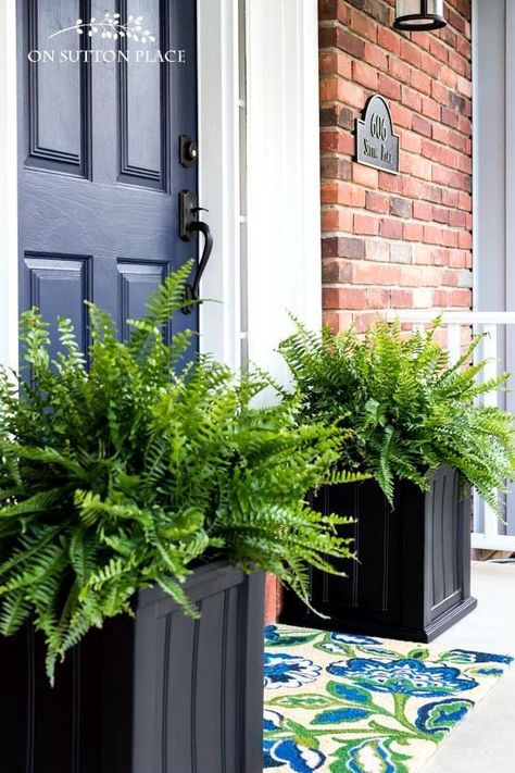 The Easiest Porch Planters Ever | Super simple and fast containers for your porch. In just a few minutes your porch will go from drab to amazing! #fern #fernplanter #summerplanter Fern Planters, Front Porch Flower Pots, Front Door Plants, Porch Planter, Front Door Planters, Front Porch Plants, Front Porch Flowers, Front Porch Planters, Door Planter