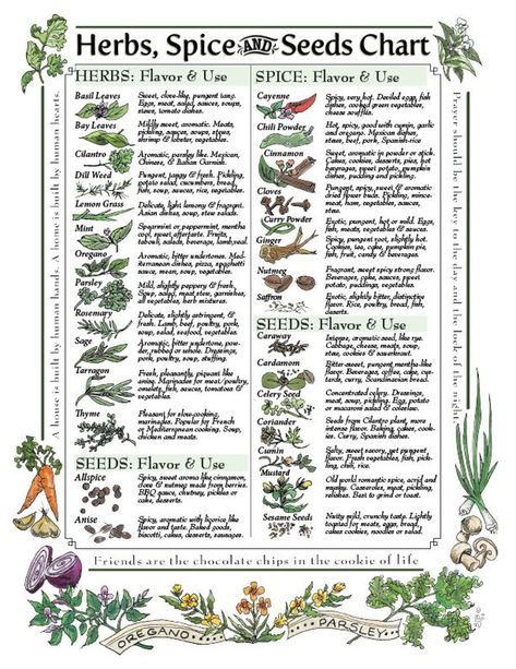 Downloadable: Herbs Spice & Seeds Chart for Kitchen | Etsy Spice Chart, Herbs List, Magickal Herbs, Witch Herbs, Magic Herbs, Kitchen Herbs, Magical Herbs, Spice Racks, Spice Cabinet