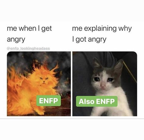 Enfp When Angry, Enfp Bingo, Enfp Core Aesthetic, Enfp Funny, Enfp Vibes, Enfp Art, 16 Personalities Enfp, Enfp Core, Mbti Funny