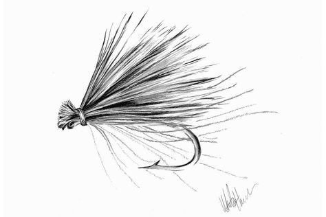 Fishing Prints, Surface Drawing, Fly Fishing Tattoo, Caddis Fly, Trout Art, Fly Drawing, Fly Art, Caddis Flies, Fly Fishing Art