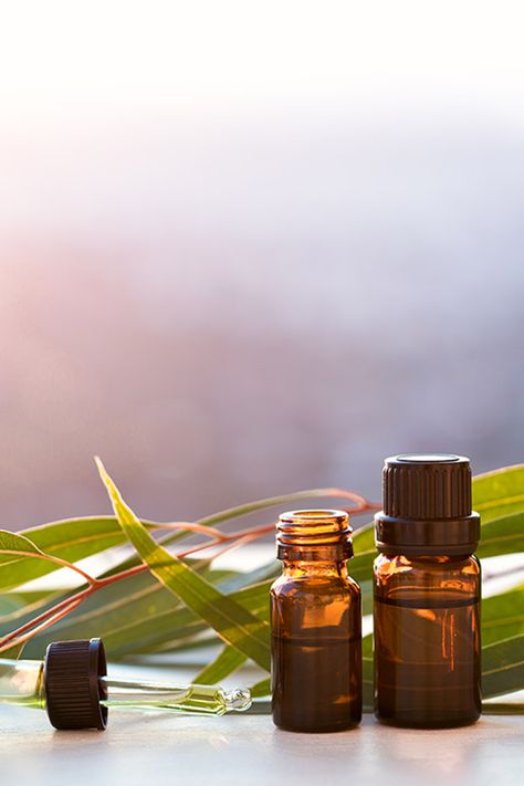 9 Unexpected Benefits of Eucalyptus Oil Eucalyptus Oil Benefits, Benefits Of Eucalyptus, Essential Oil Benefits, Diffuser Recipes, Aromatherapy Diffuser, Eucalyptus Oil, Eucalyptus Essential Oil, Oil Benefits, Aromatherapy Oils