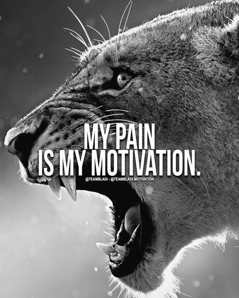 My pain is my motivation! #motivation #quotes #quoteoftheday #wisdom #truth #fashion #men #menfashion John Rambo, Lion Quotes, My Motivation, Motivational Quotes Wallpaper, Muscle Abs, Gym Quote, Warrior Quotes, Badass Quotes, Fitness Motivation Quotes