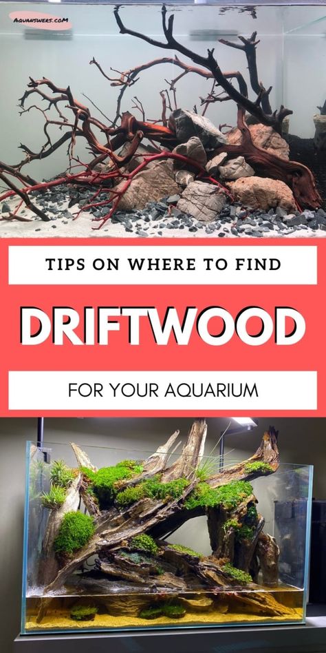 Diy Aquarium Decor, Fish Tank Terrarium, Diy Fish Tank, Fish Tank Design, Aquascape Design, Aquarium Driftwood, Aquarium Terrarium, Fresh Water Fish Tank, Diy Aquarium