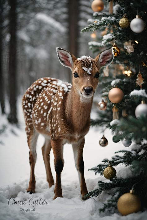 Chuck’s Images of Christmas Classic Christmas Images, Public Domain Christmas Images, Winter Images Wallpaper, Christmas Aesthetic Photography, Pretty Christmas Wallpaper, Reindeer Aesthetic, Winter Scenery Christmas, Images Of Christmas, Peaceful Christmas