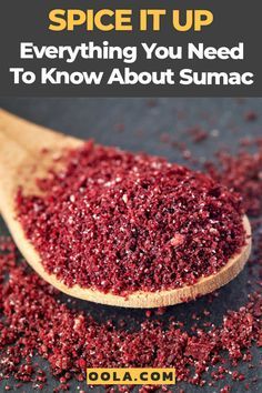 Sumac Recipes, Sumac Spice, Pane Pita, Spice Blends Recipes, Spice Mix Recipes, Homemade Spices, Homemade Seasonings, Mediterranean Cuisine, Spices And Herbs