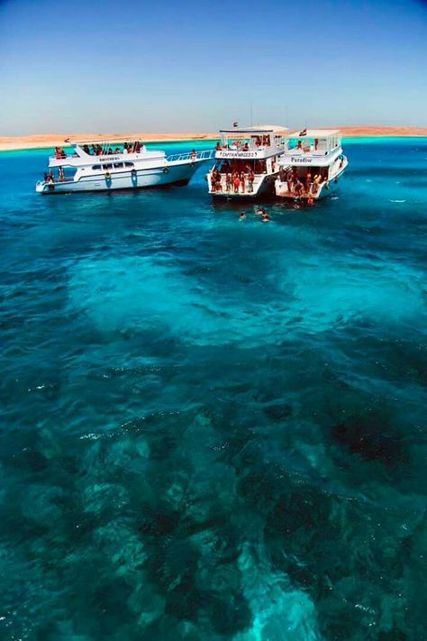 Giftun Island Egypt, Egypt Hurghada, Red Sea Egypt, Hurghada Egypt, شرم الشيخ, Sea Activities, Europe 2024, Marsa Alam, Egypt Tours