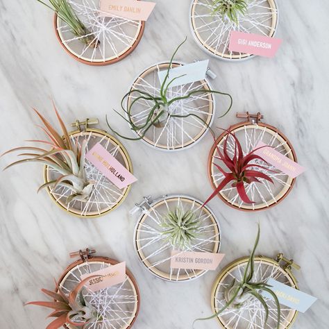 Diy Wedding Souvenirs, Plant Favors, Wedding Souvenirs Diy, Favor Ideas Wedding, Plant Embroidery, Wedding Favors Diy, Wedding Diy Projects, Wedding Favors Ideas, Wholesale Flowers Wedding