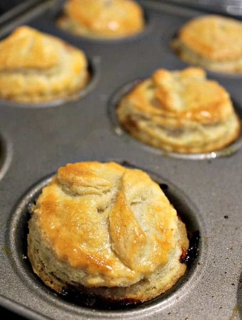 Sout Tertjies, Mini Meat Pies, Savory Hand Pies Recipes, Pies Savory, Mini Pie Crust, Hand Pies Savory, Meat Pie Recipe, Savoury Pies, British Recipes