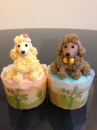 Poodle cupcakes - Cake by R.W. Cakes - CakesDecor Poodle Cake, Dog Cupcakes, Fancy Cupcakes, Animal Cupcakes, Standard Poodles, Dog Cakes, Yorkshire Terriers, Childrens Birthday Cakes, Cute Cupcakes