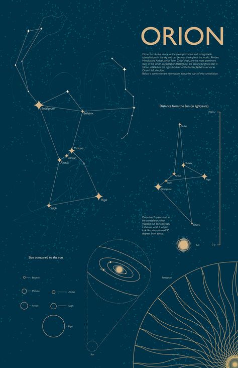 https://www.behance.net/gallery/28061715/Constellation-infographic Constellations And Their Meanings, Constellations Graphic Design, Orion Constellation Art, Constellation Graphic Design, Astronomy Graphic Design, Astro Cartography, Astronomy Infographic, Star Constellations Tattoo, Archer Constellation