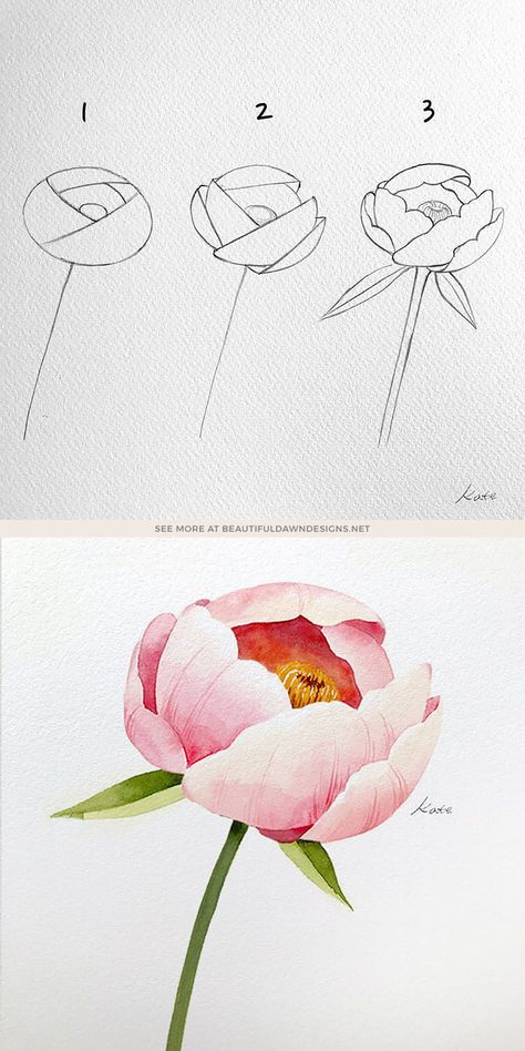 22 Easy How to Draw Flowers Step-by-Step Tutorials - Beautiful Dawn Designs Sketch Drawing Ideas, Draw A Flower, Peony Drawing, Easy Flower Drawings, Draw Flowers, Flower Drawing Tutorials, Watercolor Flowers Tutorial, Peony Painting, Drawing Flowers