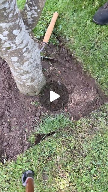 Alexander hayden on Instagram: "Satisfying lawn edging ! How to creat a square edge around a tree using a straight piece of wood. #satisfying #lawn #lawnedging #satisfyingvideos #wood #tips #howto #ideas #trasformation #lawncare #lawnedging #spring #work #garden" Tree Pavers Ideas, Natural Edge Landscaping, Borders Around Trees Ideas, Lawn Edge Ideas, Edging Around Trees Ideas, Wood Edging Landscape, Tree Edging Ideas, Around Tree Ideas, Flowerbed Edging Ideas