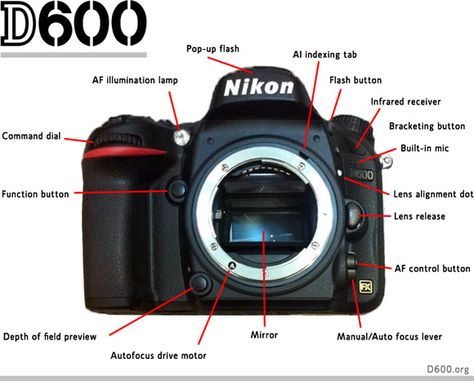 Nikon D600 Nikon D600, Nikon D5600, Reflex Camera, Full Frame Camera, Digital Slr Camera, Depth Of Field, Slr Camera, Garmin Watch, Dslr Camera