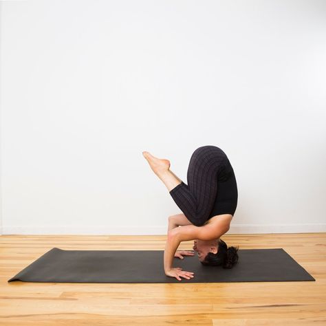 Now you're ready to try the easiest version of headstand. Since your hands and head are on the floor, the g... Tripod Headstand, Headstand Yoga Poses, Headstand Yoga, Yoga Inversions, Tight Hamstrings, Boat Pose, Crow Pose, Yoga Poses Advanced, Advanced Yoga