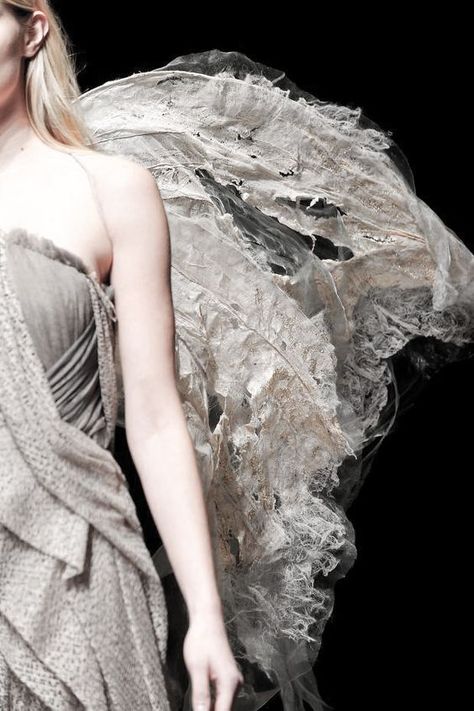 Yiqing Yin, Couture 2014, Moth Wings, Textiles Projects, Couture Details, Shades Of Grey, Fashion Details, Costume Design, Wearable Art