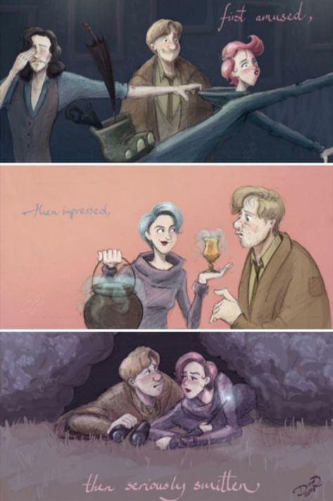 OMG Tonks and Lupin! I love whoever did this! Lupin X Tonks Fanart, Tonks X Remus, Remus X Tonks Fanart, Remadora Fanart, Lupin And Tonks, Remus And Tonks, Harry Potter Pin, Theme Harry Potter, Harry Potter Comics