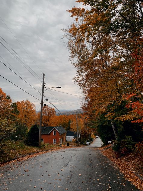 Gloomy sky, fall leaves, wet road Cloudy Fall Day Aesthetic, Gloomy Fall Aesthetic, Gloomy Autumn, Fall Wonderland, Fall Widgets, Fall Aesthetic Pictures, Herbst Bucket List, Nyc Fall, Cottage Lake